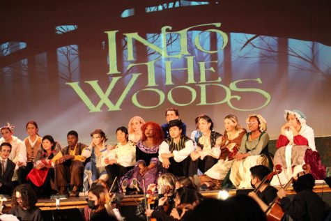 The cast of Into the Woods answers questions from the audience.