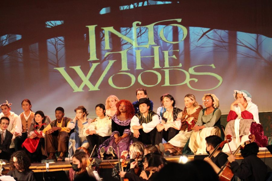 The cast of Into the Woods answers questions from the audience.
