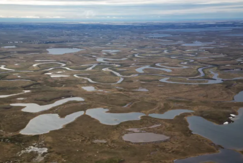 The national petroleum reserve in Alaska where The Willow Project will take place. (Bob wick, BLM) 