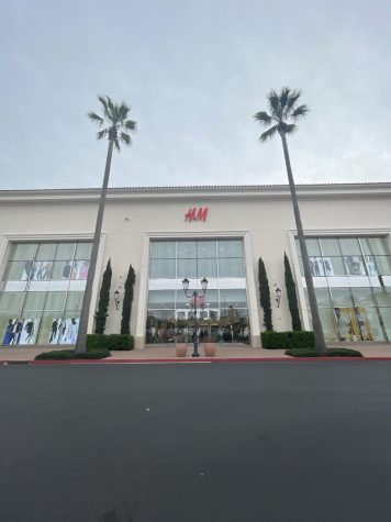 Two palm trees frame the entrance of the H&M store at the Irvine Spectrum Center.