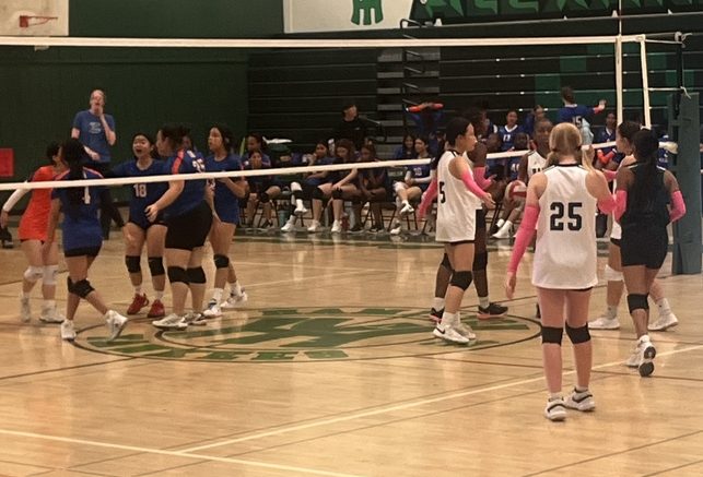 Volleyball players discuss their game plan.