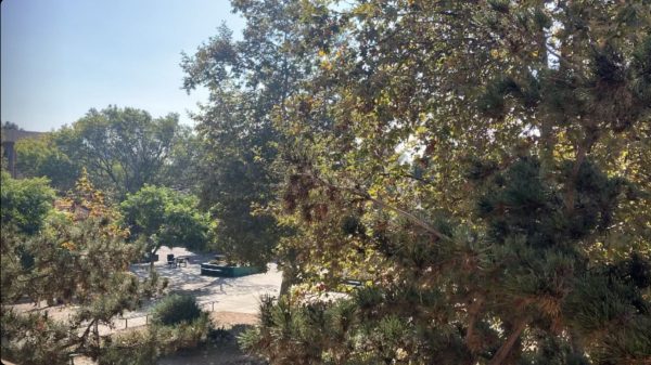 Green trees and plants enhance the environment near the cafeteria and outdoor stage.