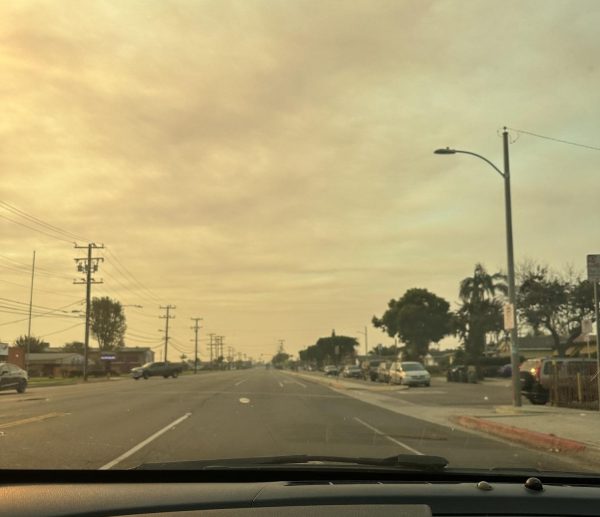 California skies are filled with smoke on a student's way to school last week.