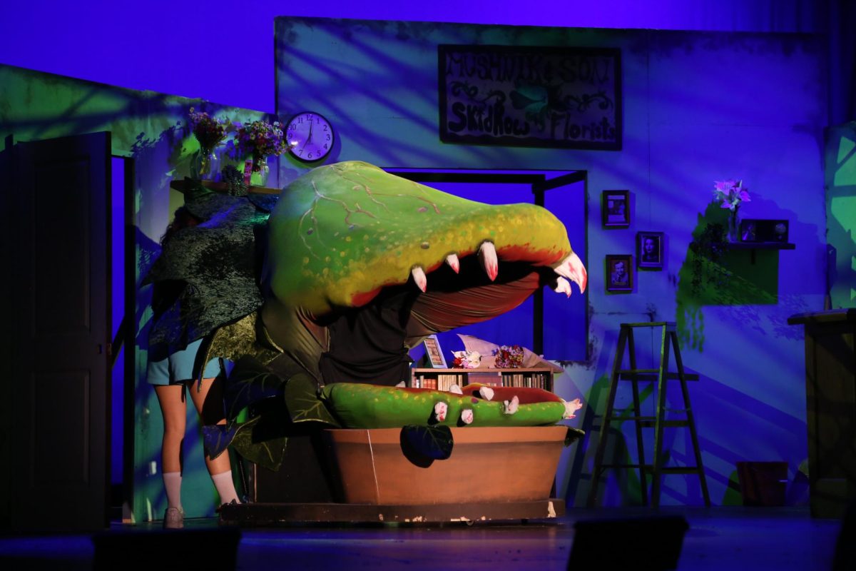 Emily Kane pictured operating one of four versions of the puppet "Audrey II" during rehearsal. The puppet is one of the main characters in the musical "Little Shop of Horrors", with the performances at Hamilton High School set to run from October 29th-Nov 1st, 2025. 