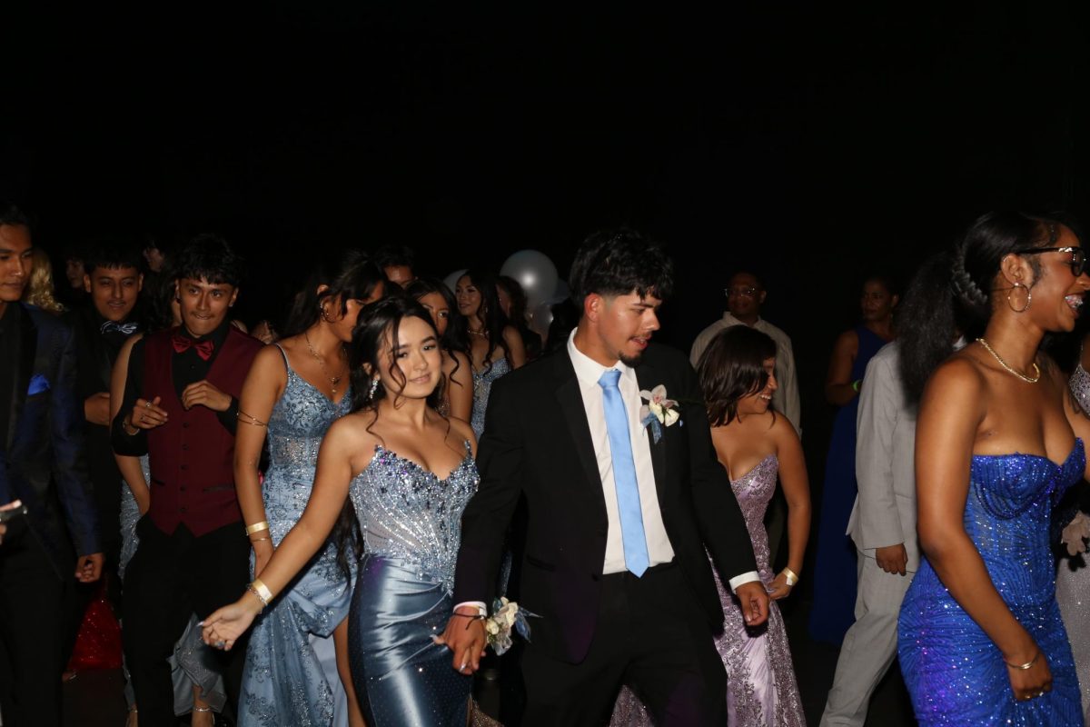 Celestial Gardens: A Cohesive Prom 2026 Overview